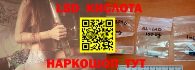 гашик Кингисепп