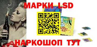 гашик Кингисепп