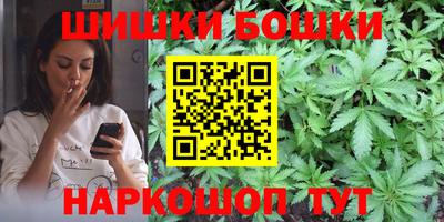 гашик Кингисепп