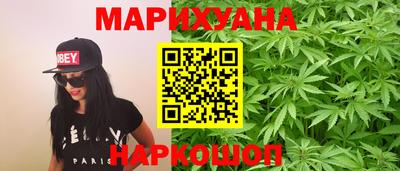 гашик Кингисепп