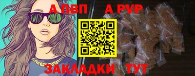 гашик Кингисепп