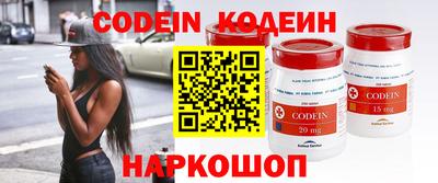 гашик Кингисепп