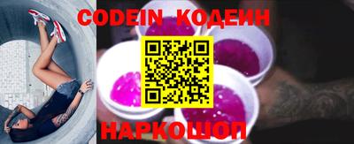 гашик Кингисепп