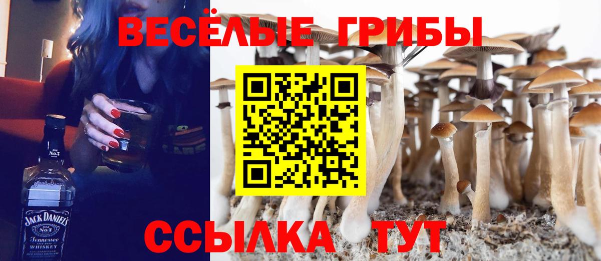 Корсаков  Псилоцибиновые грибы ЛСД  Псилоцибиновые грибы мухоморы  Вход с VPN 